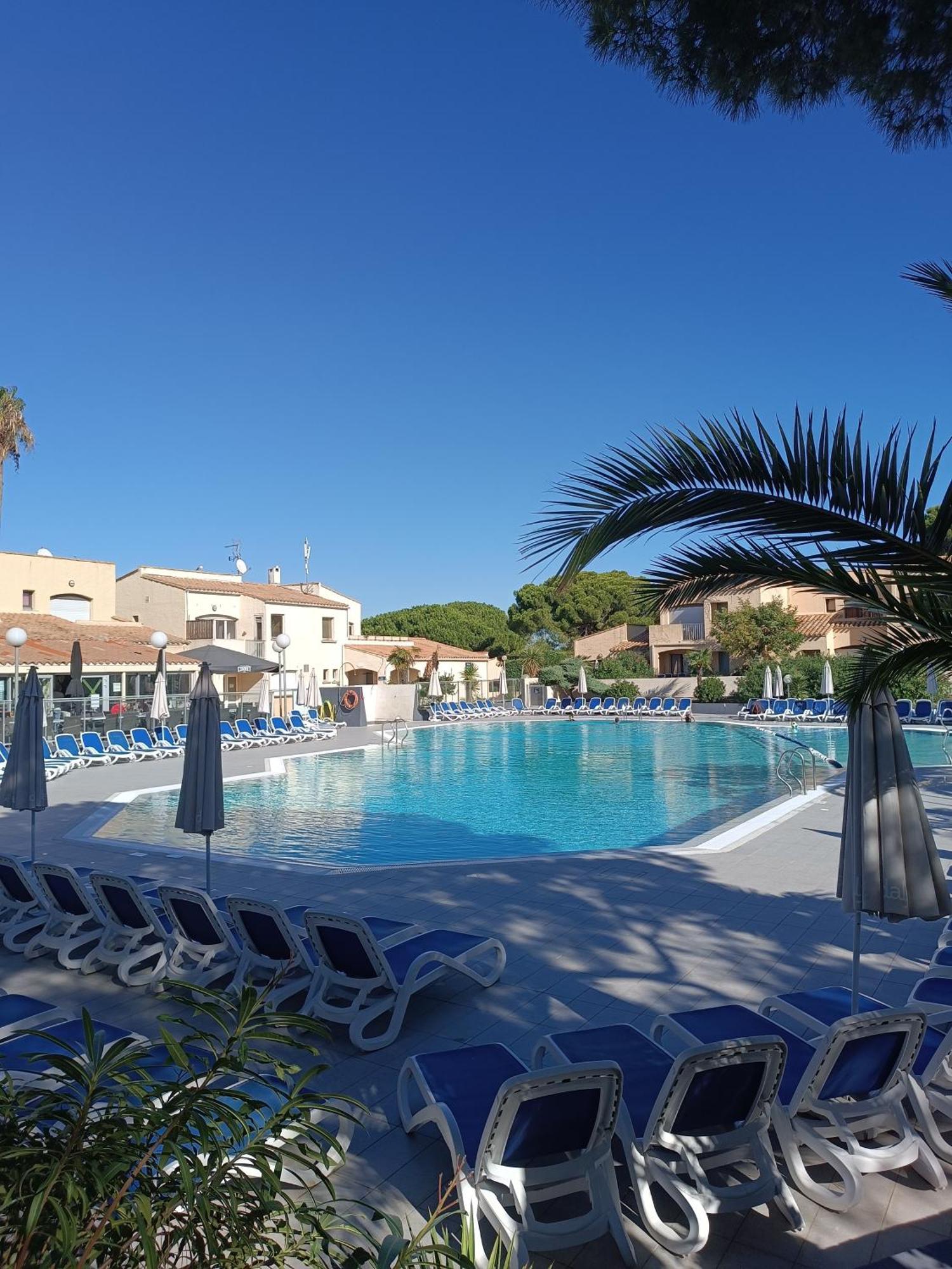 Studio Renove Dans Residence De Vacances Avec Grande Piscine Chauffee, Parking Et Terrasse Agde Extérieur photo