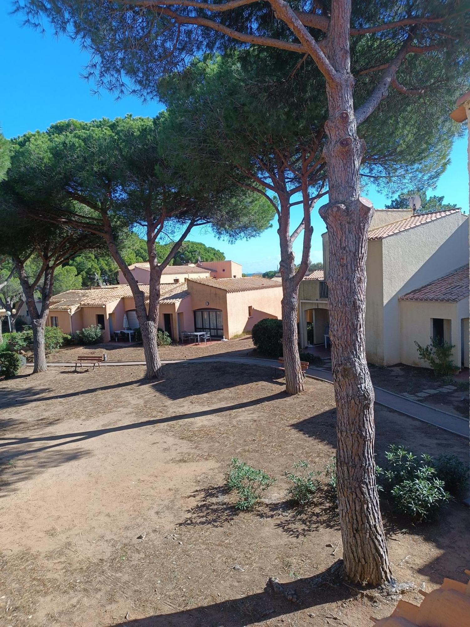 Studio Renove Dans Residence De Vacances Avec Grande Piscine Chauffee, Parking Et Terrasse Agde Extérieur photo